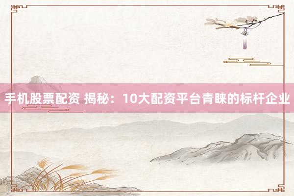 手机股票配资 揭秘：10大配资平台青睐的标杆企业