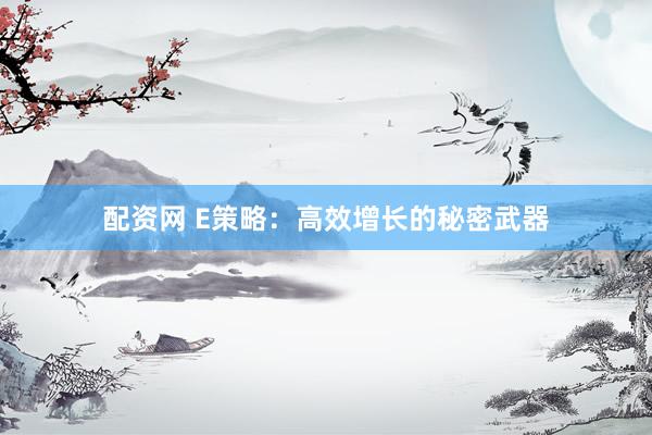 配资网 E策略：高效增长的秘密武器