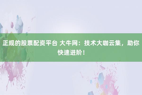 正规的股票配资平台 大牛网：技术大咖云集，助你快速进阶！