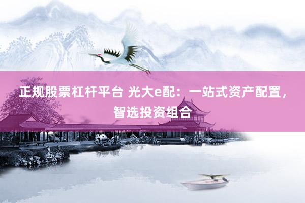 正规股票杠杆平台 光大e配：一站式资产配置，智选投资组合