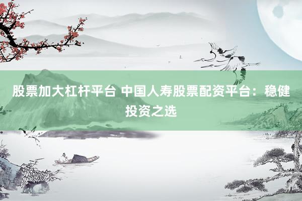 股票加大杠杆平台 中国人寿股票配资平台：稳健投资之选