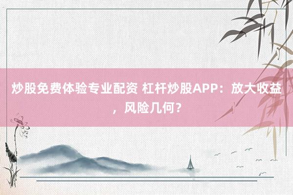 炒股免费体验专业配资 杠杆炒股APP:放大收益,风险几何?