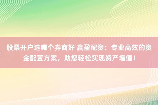 股票开户选哪个券商好 赢盈配资：专业高效的资金配置方案，助您轻松实现资产增值！
