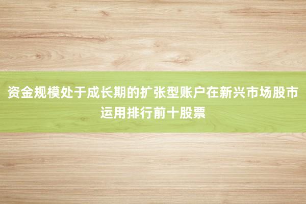 资金规模处于成长期的扩张型账户在新兴市场股市运用排行前十股票