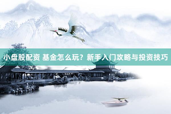 小盘股配资 基金怎么玩?新手入门攻略与投资技巧