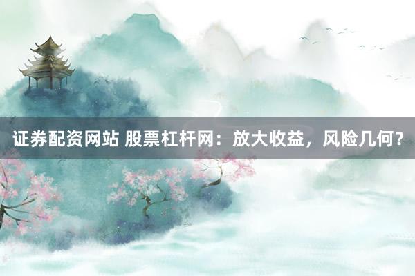 证券配资网站 股票杠杆网:放大收益,风险几何?